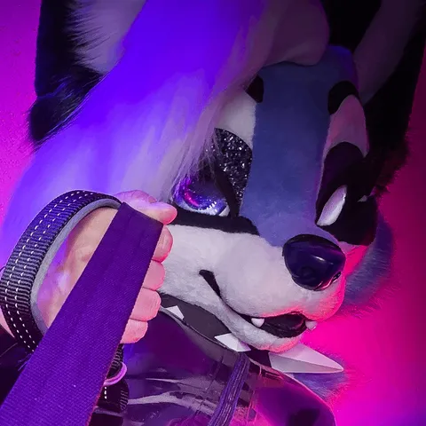 @spicierfoxx