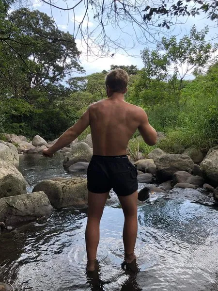 @steeleharts