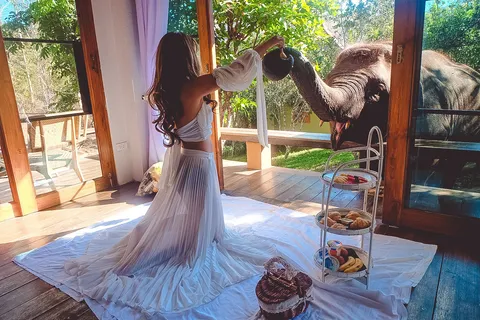 @sweetcandy2527