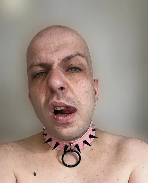 @swissbibottomguy