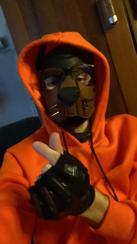 @thenoodlepup2.0