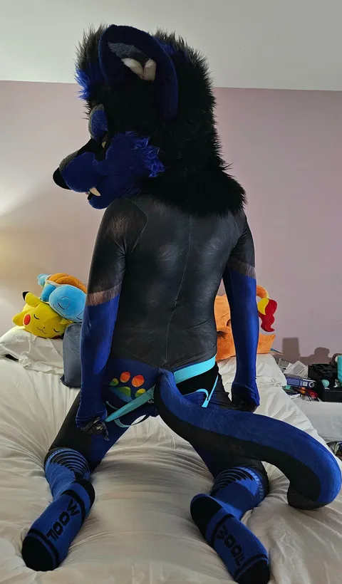 @tikaanifoxclaw