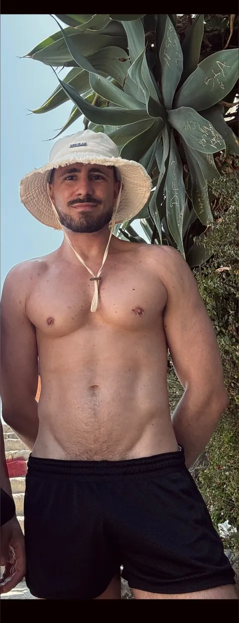@torrmenta