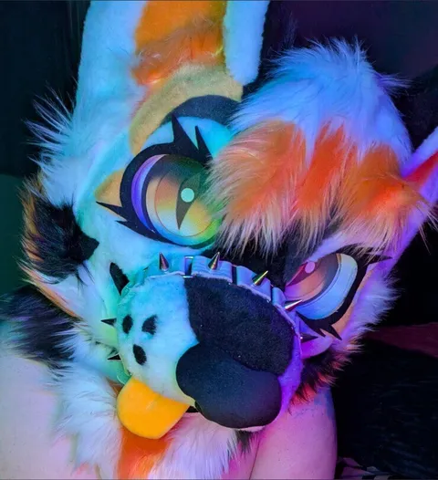 @toxinnpaws