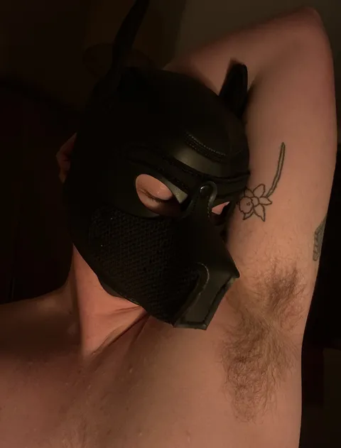 @transmascpup