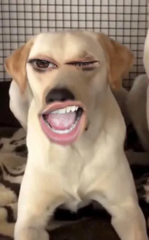 @tw_nk