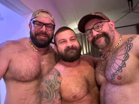 @twobears1cam