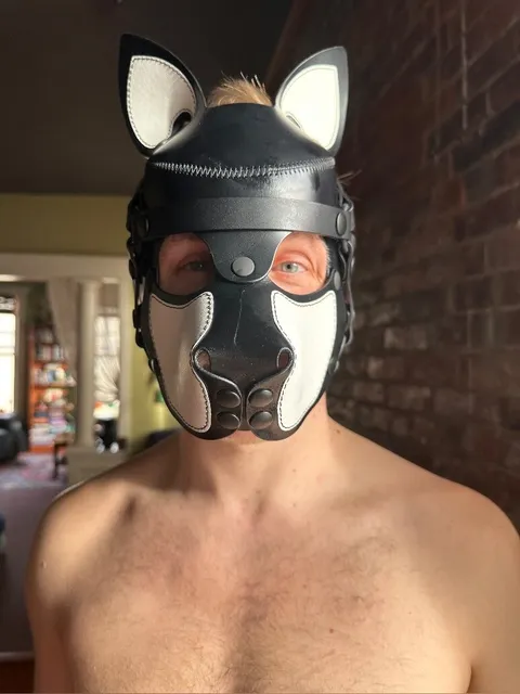 @ucpupseattle