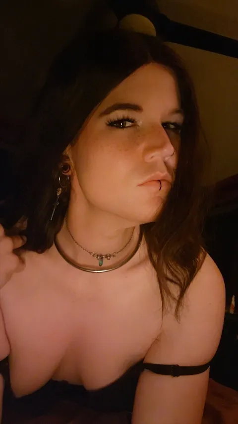 @vaallotus