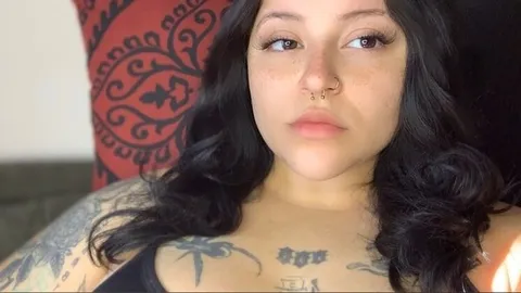 @vaini.pr