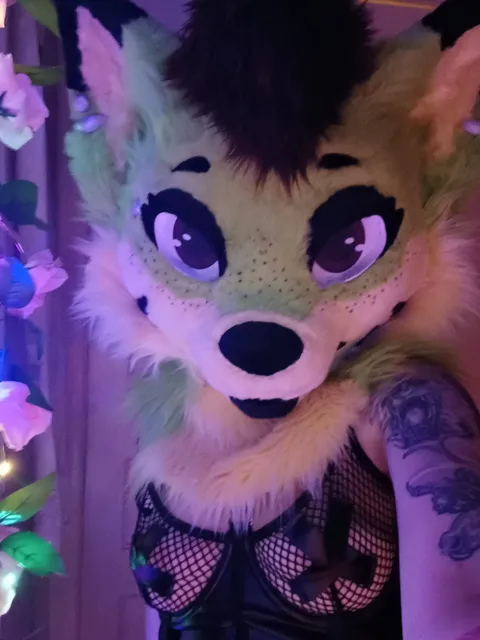 @valvifur