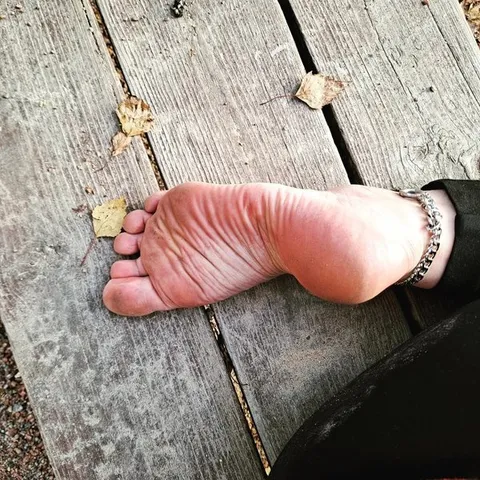 @walking.in.the.forest