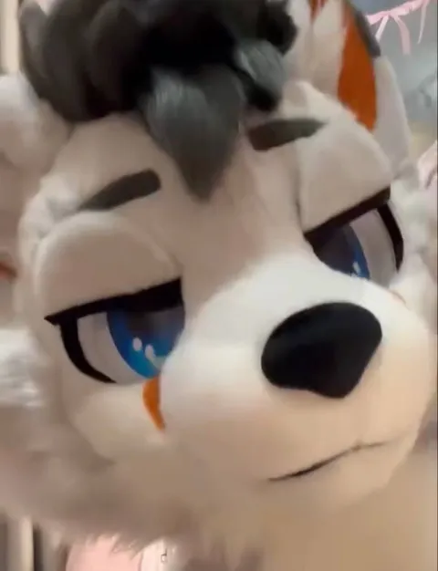 @wildeswolfi