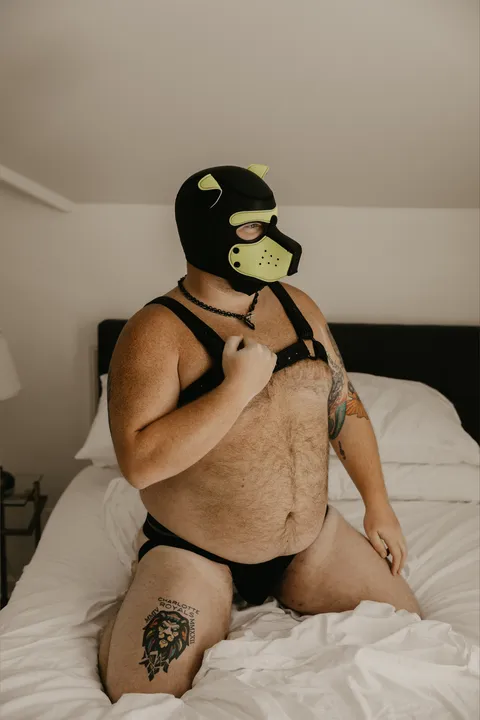 @xpup_nuggetx