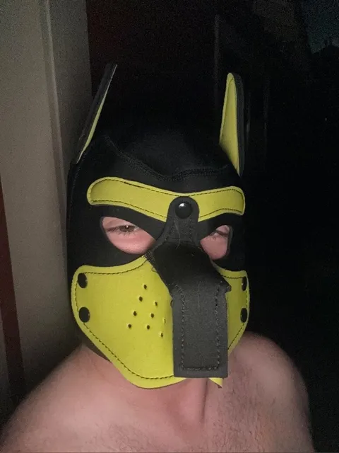 @yellowpuprex
