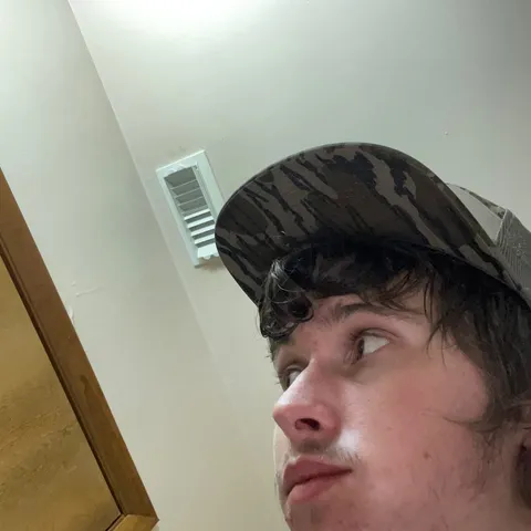 @gavin33