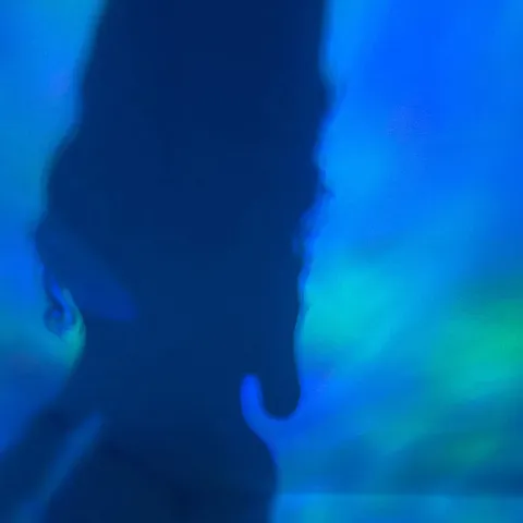 @iLuvSweetBunz