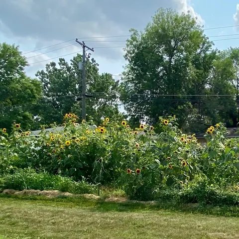 @Yourafoolforthisone